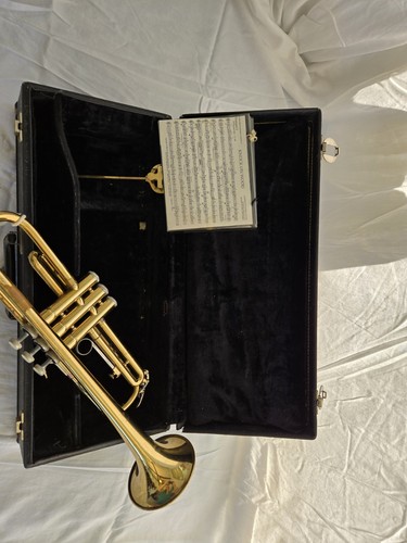Holton collegiate t602r - collegiate,