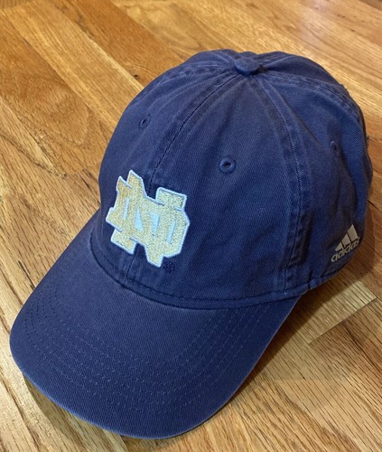 Notre dame fighting - dame,