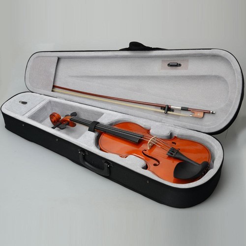 Student professional - 15",