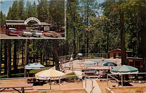 1960s pine grove california - 1960s,