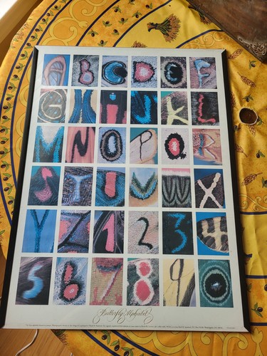 Vtg butterfly alphabet - vtg,