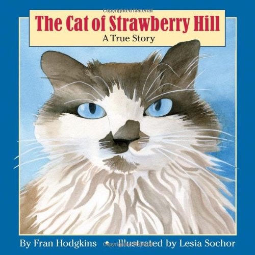 The cat strawberry hill by - the, of
