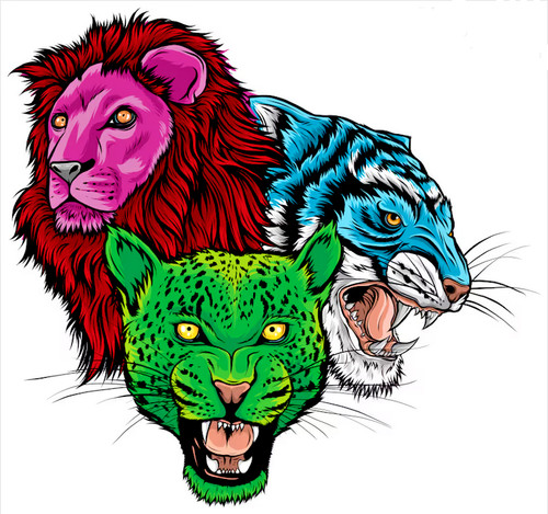 Lion leopard tiger - heads, face