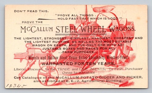 Mccallum steel wheel - wheel, wagons
