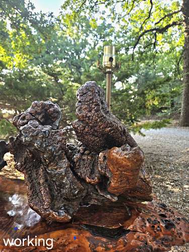 Rustic redwood burl table - rustic,