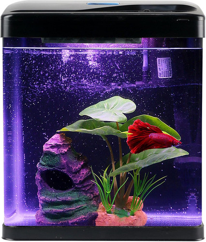 Betta fish tank - fish, self