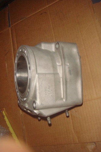 2007 arctic cat m1000 - 2007-08,
