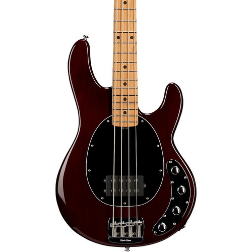Ernie ball music - man, stingray
