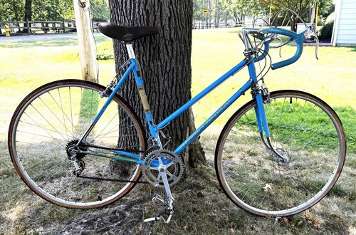 1973 schwinn women - 1973,
