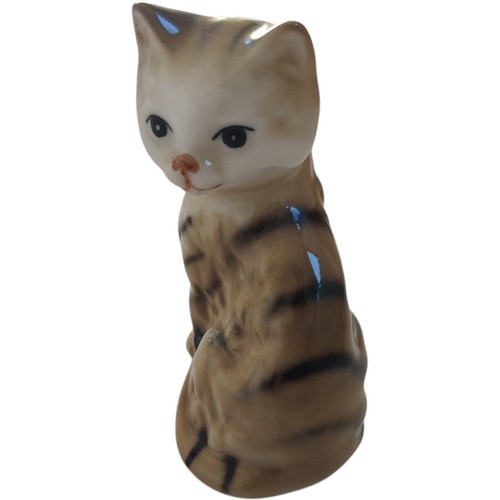 Bone china striped - china, tabby