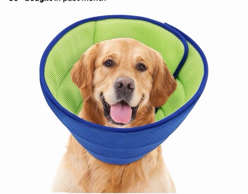 Dog cone soft surgery - dog,