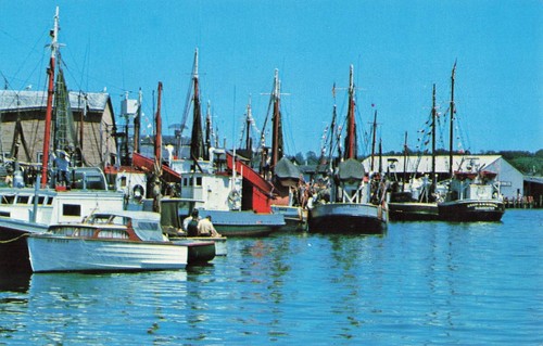 Gloucester - , ma