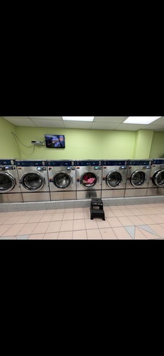 Dexter laundry pound - laundry, 50