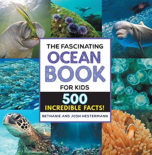 500 awesome ocean facts for - awesome,