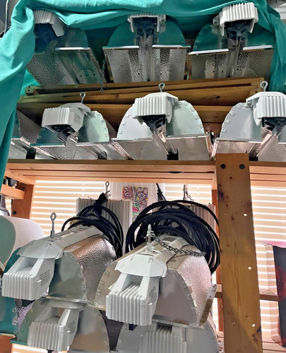 Gavita pro 1000e 1000w - gavita,