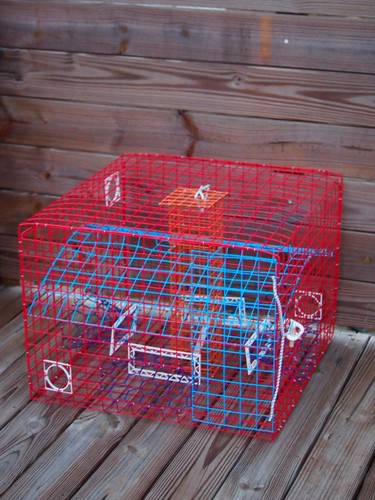 Oceanbuilt maryland blue crab - maryland,