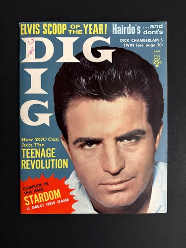 Dig magazine april - magazine, vince