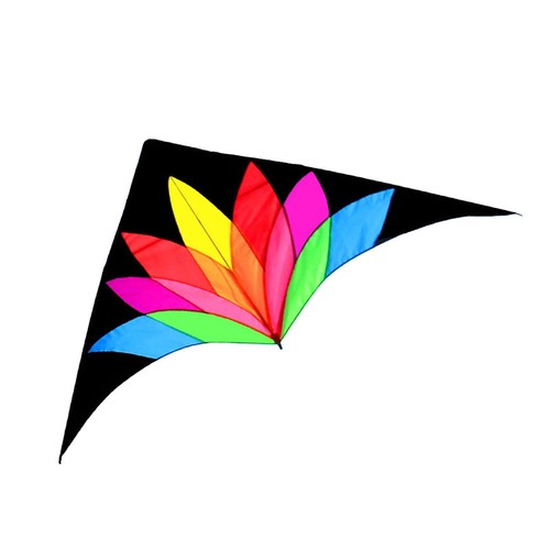Giant delta kite bird - easy, to