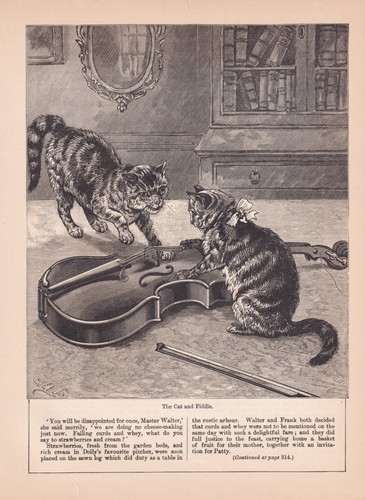 Cats playing with violin - cats,