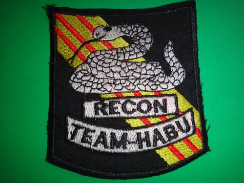 5th special forces - us,