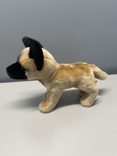 Douglas klaus belgian malinois - belgian,