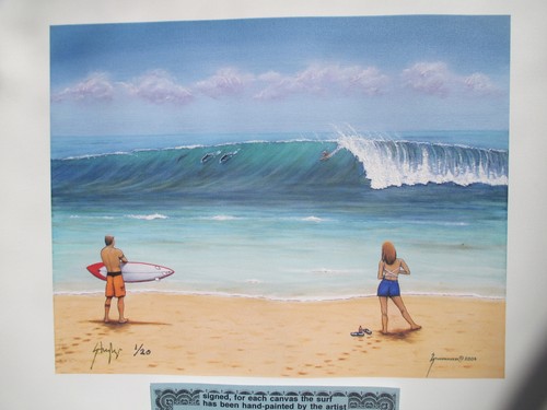 Hawaii north shore surfing - hawaii,
