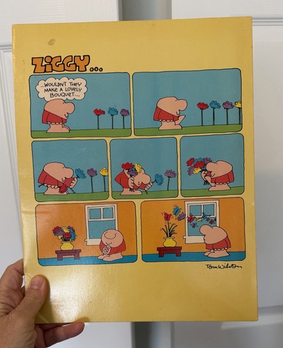 Vintage 1980 ziggy - ziggy, 2