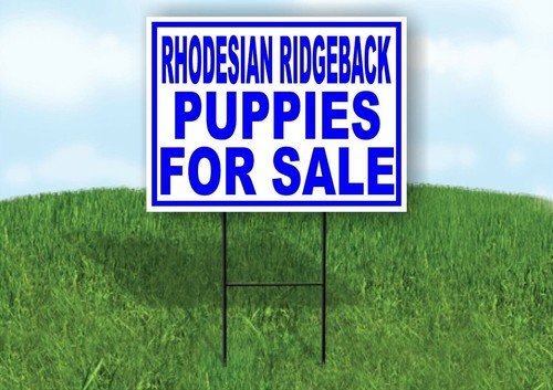Rhodesian ridgeback puppies - ridgeback,