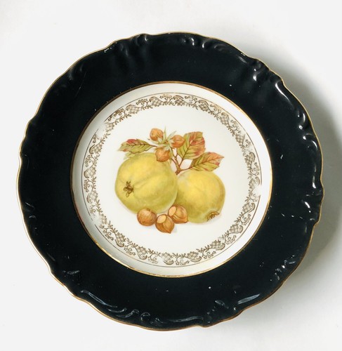 Royal heidelberg winterling - royal,