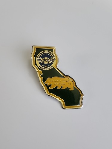 Afsa lapel pin - pin, air