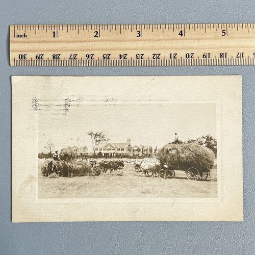 Vtg 1900s collotype farming - 1900s,