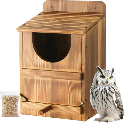 Owl house barn nesting - owl,
