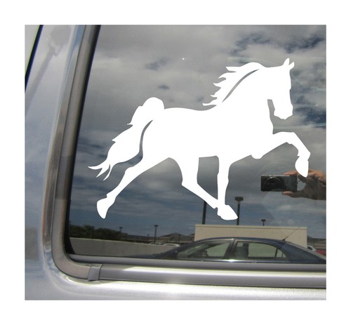 Tennessee walking horse walker - walking,
