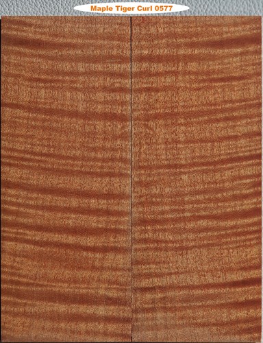 Outstanding stabilized orange - outstanding,