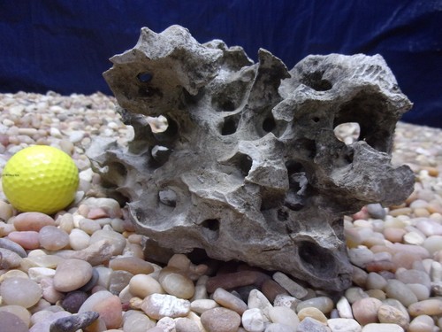 Texas holey rock - 04#,