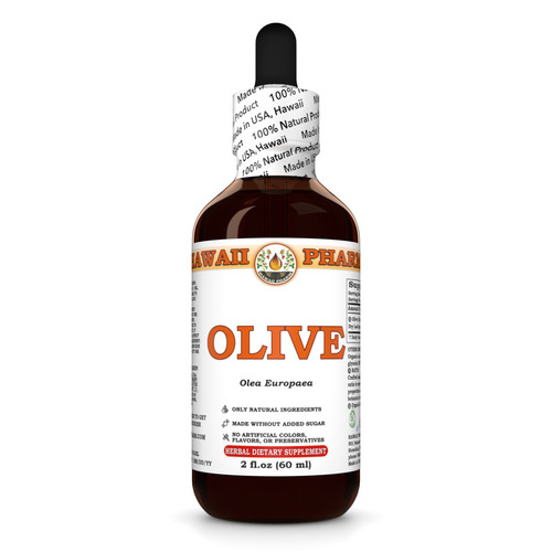 Olive dried - olive, (olea