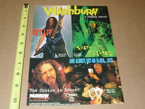 Pantera washburn guitars print - pantera,