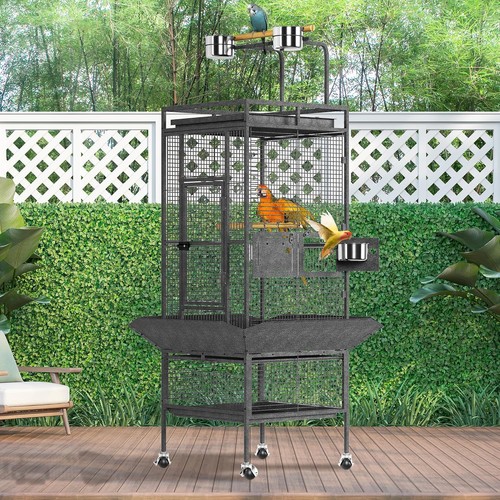 Parrot cage with - parrot, 4