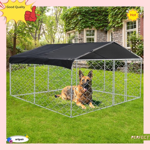 10x10 chain link dog - dog, kennel
