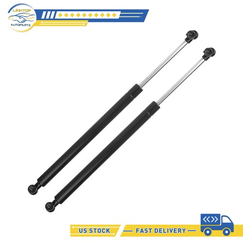 Lift support pair liftgate - support, 1