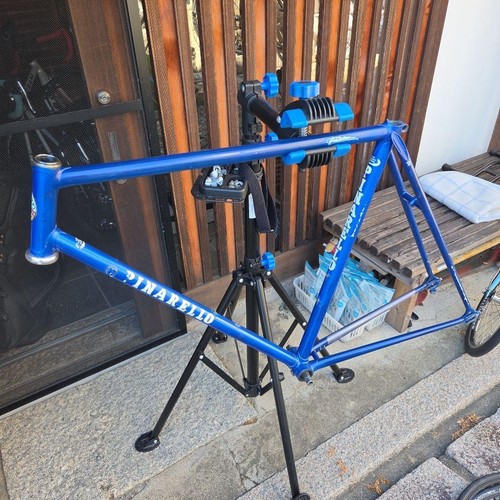 Pinarello treviso road bike - treviso,