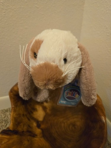 Holland lop bunny - lop,
