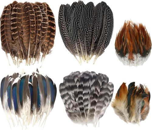 60pcs natural turkey feathers - turkey,
