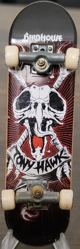 Tony hawk skull bird bones - tony,