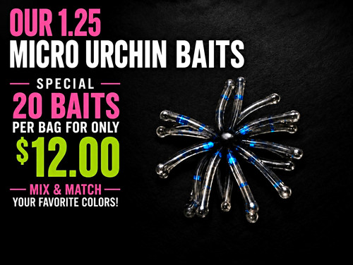 Micro urchin baits - 1.25",