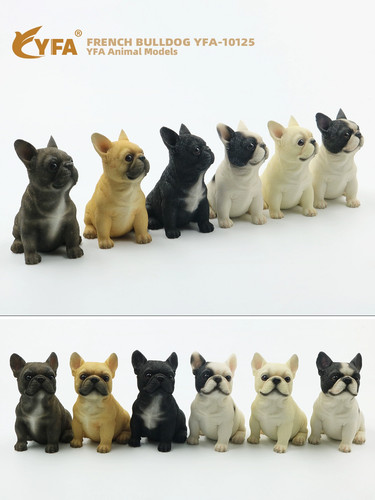 Jjm sitting french bulldog - jjm,