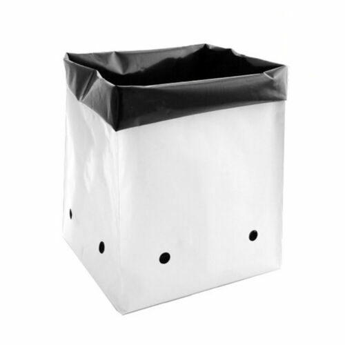 Gallon pack plastic bags - 50,