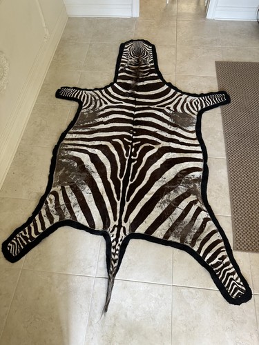 Zebra rug - zebra,