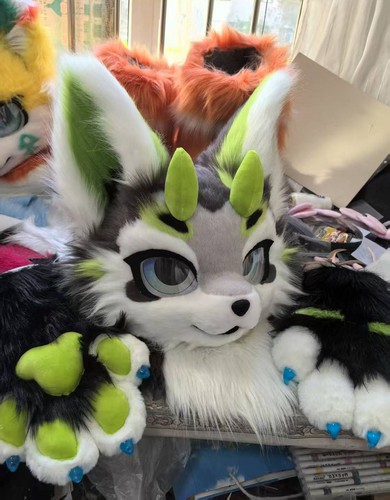 Fursuit long fur husky - fursuit, fox