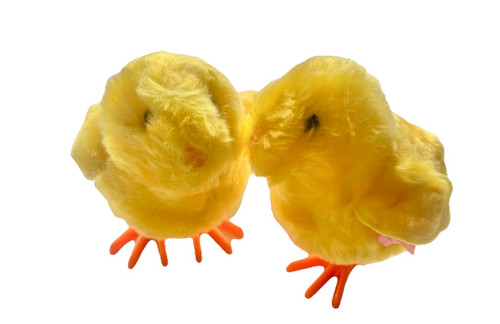 Easter hopping chicks yellow - hopping,